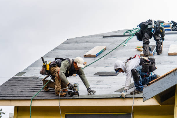 Professional Gutter Installation technician working in Little Cedar, IA